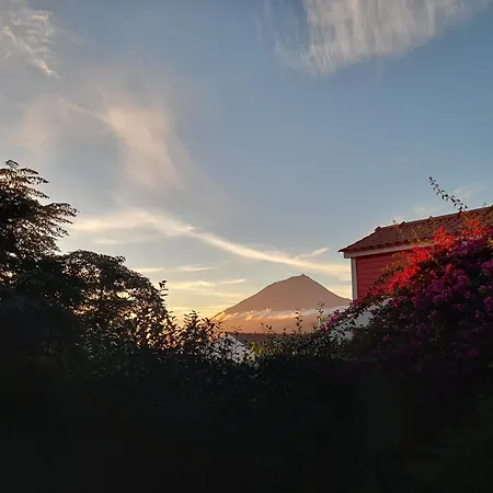 Small - Flaminga's Place Apartment