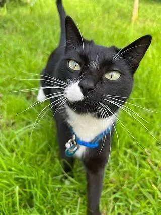 Small - Flaminga's Place Apartment Lajes do Pico