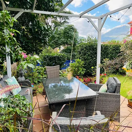 Apartment Small - Flaminga's Place