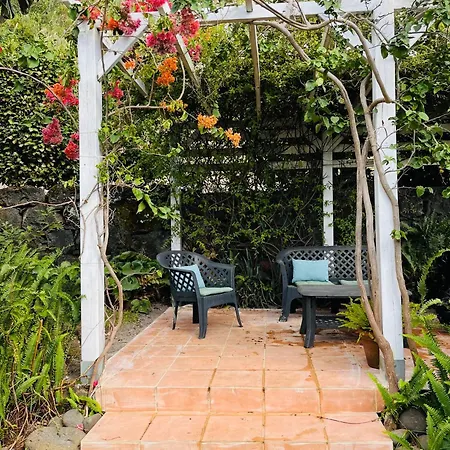 Small - Flaminga's Place *