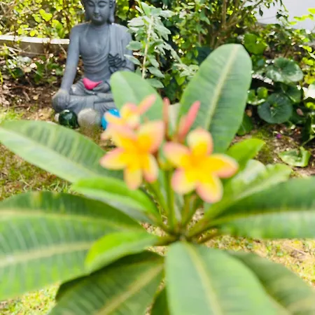 Small - Flaminga's Place *