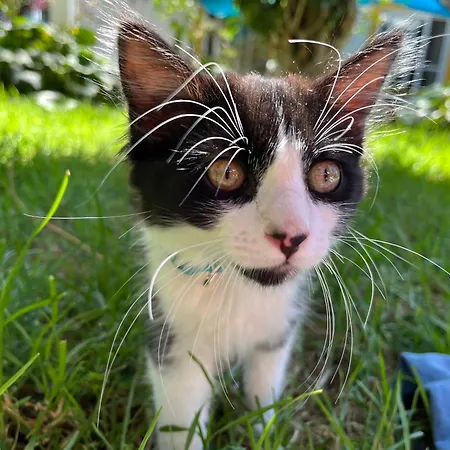 Small - Flaminga's Place Apartment