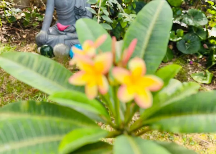 Small - Flaminga's Place *