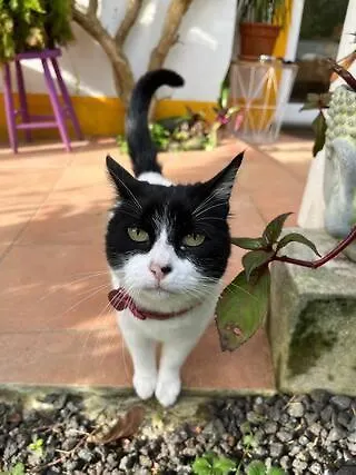 דירה Small - Flaminga's Place