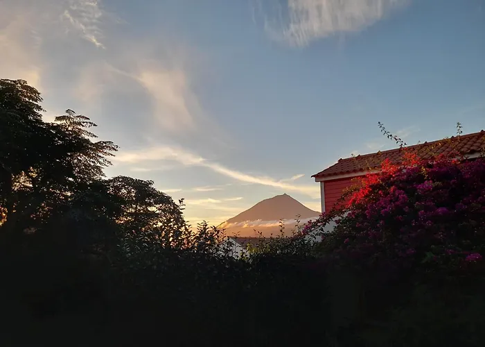 Small - Flaminga's Place Apartment